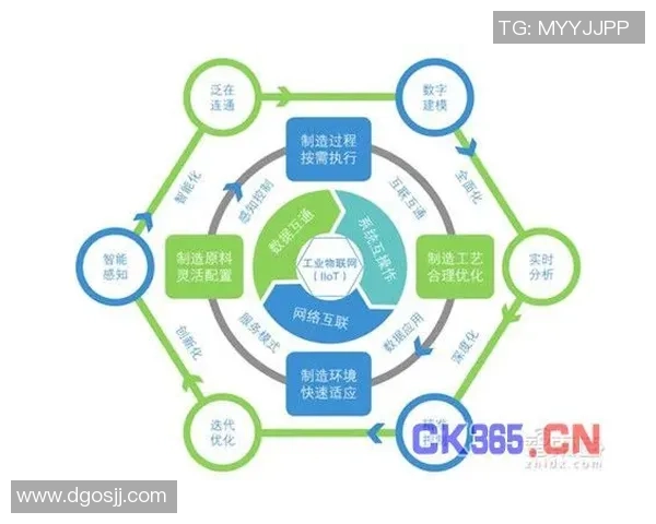查路与洪卡分析的深度比较与应用探讨